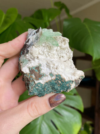 Green Fluorapophyllite Glassy Sharp Terminations | Old Stock 1980’s from Curious Muse Crystals Tagged with clear, Crystal healing, genuine crystal, green, hide-notify-btn, natural mineral, raw mineral, reiki crystal