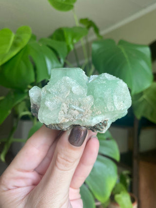 Green Fluorapophyllite Cubic Terminations on Stilbite | Old Stock 1980’s from Curious Muse Crystals Tagged with clear, Crystal healing, genuine crystal, green, hide-notify-btn, natural mineral, raw mineral, reiki crystal