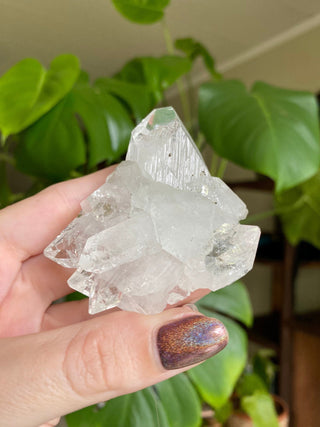 Glassy Clear Fluorapophyllite Termination Cluster | Old Stock 1980’s from Curious Muse Crystals Tagged with apophyllite, clear, Crystal healing, fine mineral, genuine crystal, hide-notify-btn, natural mineral, raw mineral, reiki crystal, zeolite