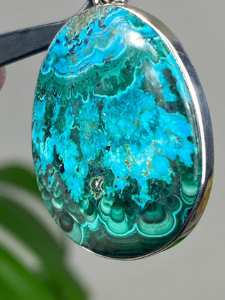 Malachite & Chrysocolla in Sterling Silver Pendant from Curious Muse Crystals Tagged with blue, chrysocolla, green, hide-notify-btn, malachite, necklace, Pendant, sterling silver