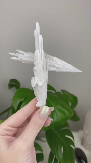 Scolecite Spray Raw Mineral - X Shape Double Cluster - Maharasta, India