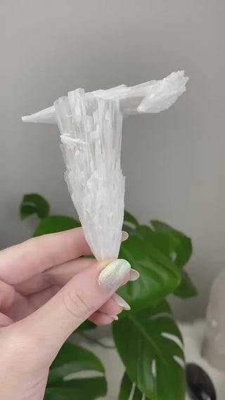 Scolecite Spray Raw Mineral - Triple Cluster - Maharasta, India