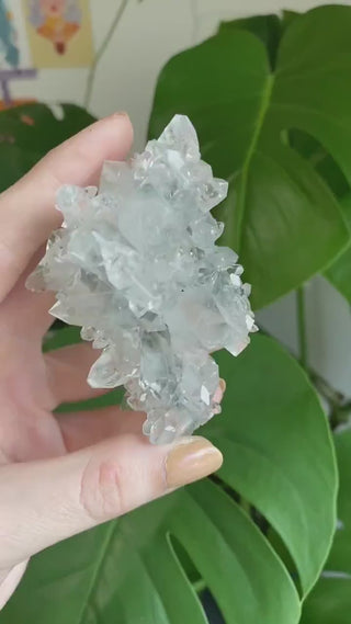 Gemmy Apophyllite Stalactite - High Grade Collector Mineral Specimen - Old Stock