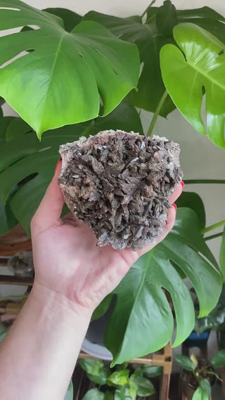 Dogtooth Calcite Cluster - Mexico Mineral Specimen - Healing Crystal