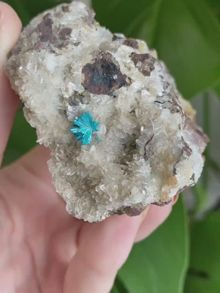 Electric Blue Cavansite on Stilbite - High Grade Collector Mineral Specimen - Old Stock