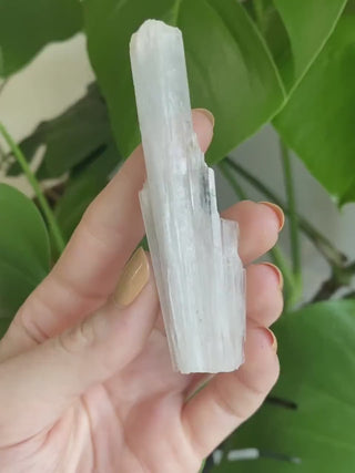 Glassy Scolecite Blade - High Grade Collector Mineral Specimen - Old Stock