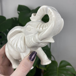 White Jade Elephant from Curious Muse Crystals Tagged with animal carving, carving, elephant, good fortune, hide-notify-btn, jade, purity, sacred space, statue, white, white jade, wisdom