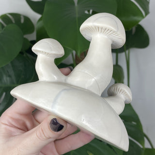 White Jade Mushroom Cluster from Curious Muse Crystals Tagged with carving, hide-notify-btn, jade, mushroom, sacred space, statue, white, white jade