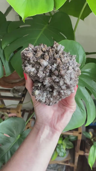 Dogtooth Calcite Cluster - Mexico Mineral Specimen - Healing Crystal