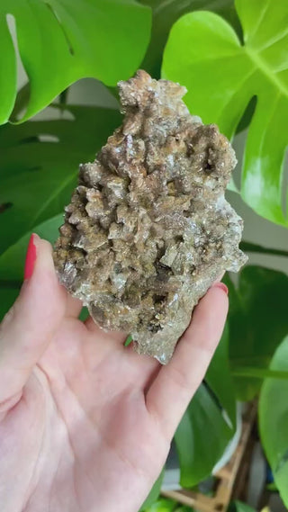 Dogtooth Calcite Cluster - Mexico Mineral Specimen - Healing Crystal