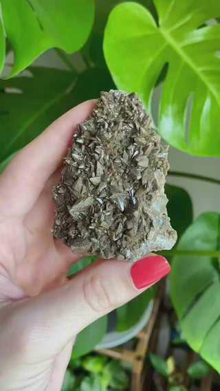 Dogtooth Calcite Cluster - Mexico Mineral Specimen - Healing Crystal