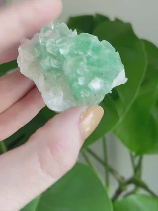 Green Apophyllite Flower on Stilbite - High Grade Collector Mineral Specimen - Old Stock