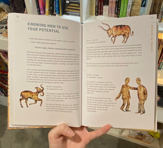 Astrotherapy: Discover How to Live Better and Move Forward in Life with Your Astral Theme Book from Curious Muse Crystals Tagged with Aquarius, astrology, book, Capricorn virgo, cleansing ritual, Gemini Aries, Libra Pisces cancer, love spell, modern witch, protection spell, Sagittarius Leo, self care, Taurus Scorpio, witch book