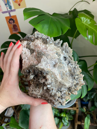 Chocolate Dogtooth Calcite with Hematite inclusions from Santa Eulalia, Mexico from Curious Muse Crystals Tagged with black, brown, calcite, chocolate calcite, clear, crystal energy, dogtooth, hide-notify-btn, mexico, reiki healing, santa eulalia