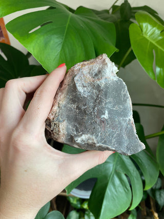 Chocolate Dogtooth Calcite with Hematite inclusions from Santa Eulalia, Mexico from Curious Muse Crystals Tagged with black, brown, calcite, chocolate calcite, clear, crystal energy, dogtooth, hide-notify-btn, mexico, reiki healing, santa eulalia