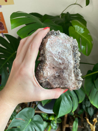 Chocolate Dogtooth Calcite with Hematite inclusions from Santa Eulalia, Mexico from Curious Muse Crystals Tagged with black, brown, calcite, chocolate calcite, clear, crystal energy, dogtooth, hide-notify-btn, mexico, reiki healing, santa eulalia