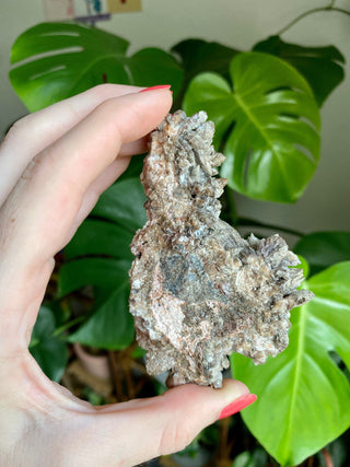 Chocolate Dogtooth Calcite with Hematite inclusions from Santa Eulalia, Mexico from Curious Muse Crystals Tagged with black, brown, calcite, chocolate calcite, clear, crystal energy, dogtooth, hide-notify-btn, mexico, reiki healing, santa eulalia