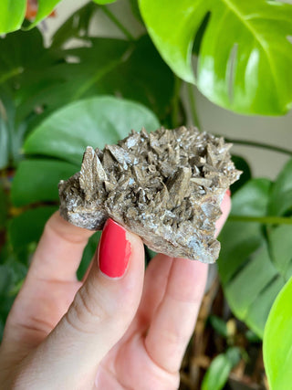 Chocolate Dogtooth Calcite with Hematite inclusions from Santa Eulalia, Mexico from Curious Muse Crystals Tagged with black, brown, calcite, chocolate calcite, clear, crystal energy, dogtooth, hide-notify-btn, mexico, reiki healing, santa eulalia
