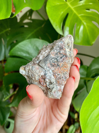 Chocolate Dogtooth Calcite with Hematite inclusions from Santa Eulalia, Mexico from Curious Muse Crystals Tagged with black, brown, calcite, chocolate calcite, clear, crystal energy, dogtooth, hide-notify-btn, mexico, reiki healing, santa eulalia