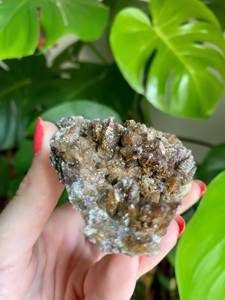 Chocolate Dogtooth Calcite with Hematite inclusions from Santa Eulalia, Mexico from Curious Muse Crystals Tagged with black, brown, calcite, chocolate calcite, clear, crystal energy, dogtooth, hide-notify-btn, mexico, reiki healing, santa eulalia