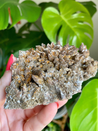 Chocolate Dogtooth Calcite with Hematite inclusions from Santa Eulalia, Mexico from Curious Muse Crystals Tagged with black, brown, calcite, chocolate calcite, clear, crystal energy, dogtooth, hide-notify-btn, mexico, reiki healing, santa eulalia