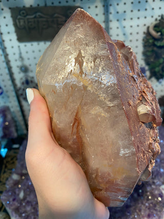 Red Quartz - Hematite included Quartz with Trigonic Record Keepers from Curious Muse Crystals Tagged with clear, clear quartz, crystal energy, hematite, hide-notify-btn, inclusion quartz, quartz, red, reiki healing