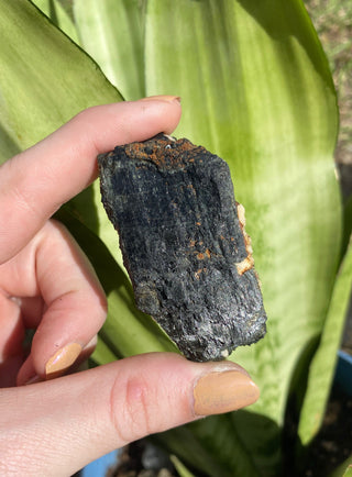 Aegirine | Malawi from Curious Muse Crystals Tagged with aegirine, black, Crystal healing, feldspar aegirine, genuine crystal, Malawi, mineral collection, natural mineral, raw crystal, raw mineral, reiki crystal, reiki healing