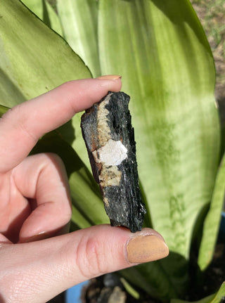Aegirine | Malawi from Curious Muse Crystals Tagged with aegirine, black, Crystal healing, feldspar aegirine, genuine crystal, Malawi, mineral collection, natural mineral, raw crystal, raw mineral, reiki crystal, reiki healing