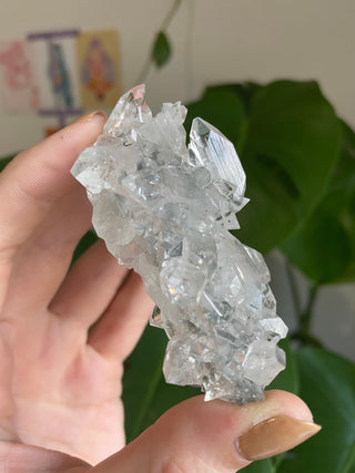 Apophyllite Stalactite | Zeolite | Old Stock from Curious Muse Crystals Tagged with apophyllite, clear, Crystal healing, fine mineral, gem grade, genuine crystal, glassy apophyllite, mineral collection, natural mineral, old stock mineral, raw mineral, reiki healing, zeolite cluster
