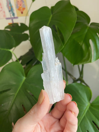 Scolecite Blade - Zeolite - Old Stock from Curious Muse Crystals Tagged with crystal energy, fine mineral, hide-notify-btn, india, reiki healing, scolecite, white, zeolite
