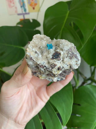 Cavansite on Stilbite | Zeolite | Old Stock from Curious Muse Crystals Tagged with blue, cavansite, crystal energy, fine mineral, hide-notify-btn, india, raw, reiki healing, stilbite, zeolite