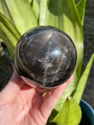 Black Moonstone Sphere | Flashy Orthoclase Feldspar from Curious Muse Crystals Tagged with black, black moonstone, Crystal healing, genuine crystal, intuition stone, Madagascar mineral, mineral collection, moonstone, natural mineral, natural moonstone, orthoclase feldspar, reiki healing, shadow work, shimmering black, sphere