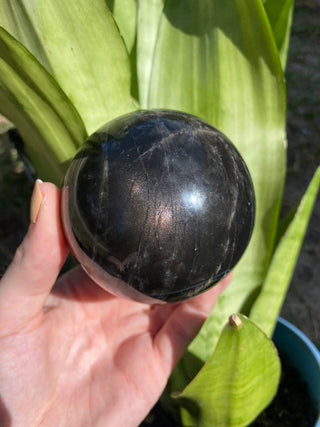 Black Moonstone Sphere | Flashy Orthoclase Feldspar from Curious Muse Crystals Tagged with black, black moonstone, Crystal healing, genuine crystal, intuition stone, Madagascar mineral, mineral collection, moonstone, natural mineral, natural moonstone, orthoclase feldspar, reiki healing, shadow work, shimmering black, sphere