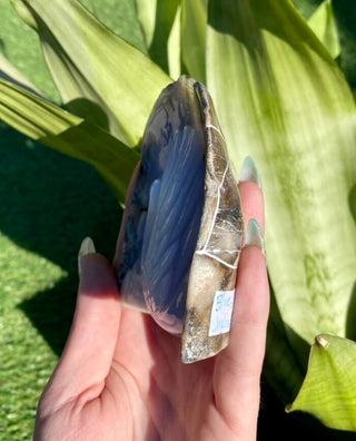 Blue Chalcedony Hand Carved Swan Bird Geode from Curious Muse Crystals Tagged with angel energy, animal carving, animal guide, blue, blue chalcedony, blue stone geode, calming crystal, chalcedony, Crystal carving, feather omen, feng shui, hand carved geode, home decor stone, stone bird, swan crystal carving
