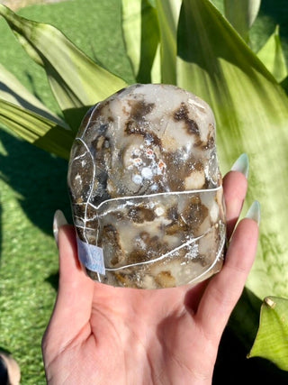 Blue Chalcedony Hand Carved Swan Bird Geode from Curious Muse Crystals Tagged with angel energy, animal carving, animal guide, blue, blue chalcedony, blue stone geode, calming crystal, chalcedony, Crystal carving, feather omen, feng shui, hand carved geode, home decor stone, stone bird, swan crystal carving