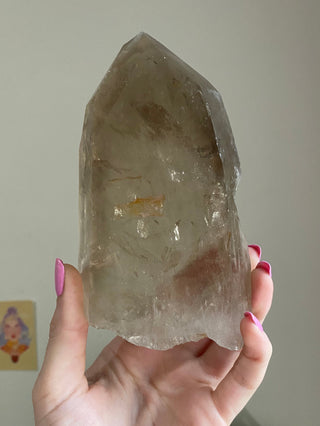 Smoky Lemurian Quartz - Natural Genuine Tabular Lemurian Quartz from Brazil from Curious Muse Crystals Tagged with brown, clear, Crystal decor, Crystal healing, genuine crystal, hide-notify-btn, high quality natural, lemurian, Lemurian Quartz, Lemurian seed, mineral collection, natural mineral, quartz, raw mineral, reiki healing, smoky quartz