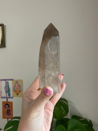 Smoky Lemurian Quartz - Natural Genuine Tabular Lemurian Quartz from Brazil from Curious Muse Crystals Tagged with brown, clear, Crystal decor, Crystal healing, genuine crystal, hide-notify-btn, high quality natural, lemurian, Lemurian Quartz, Lemurian seed, mineral collection, natural mineral, quartz, raw mineral, reiki healing, smoky quartz