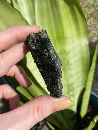 Aegirine | Malawi from Curious Muse Crystals Tagged with aegirine, black, Crystal healing, feldspar aegirine, genuine crystal, Malawi, mineral collection, natural mineral, raw crystal, raw mineral, reiki crystal, reiki healing