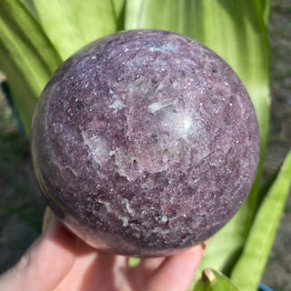 Lepidolite Sphere | Lithium in Mica and Quartz from Curious Muse Crystals Tagged with hide-notify-btn, lepidolite, lithium, mica, purple, purple crystal, sphere