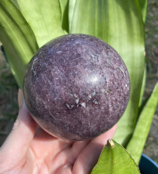 Lepidolite Sphere | Lithium in Mica and Quartz from Curious Muse Crystals Tagged with hide-notify-btn, lepidolite, lithium, mica, purple, purple crystal, sphere