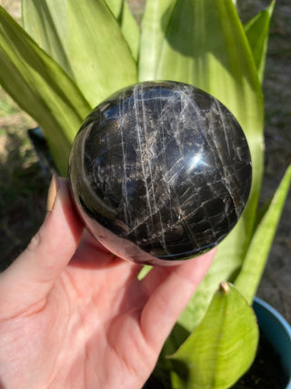 Black Moonstone Sphere | Flashy Orthoclase Feldspar from Curious Muse Crystals Tagged with black, black moonstone, Crystal healing, genuine crystal, intuition stone, Madagascar mineral, mineral collection, moonstone, natural mineral, natural moonstone, orthoclase feldspar, reiki healing, shadow work, shimmering black, sphere