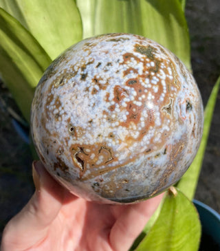 Ocean Jasper Sphere with Druzy Pockets from Curious Muse Crystals Tagged with Crystal healing, drusy pocket, hide-notify-btn, jasper, Madagascar mineral, mineral collection, natural mineral, ocean jasper, Orbicular jasper, peace and calming, purple, reiki healing, sphere, white, yellow