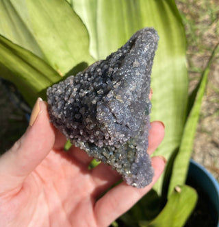 Grape Agate Triangular Cluster - Botryoidal Purple Chalcedony from Curious Muse Crystals Tagged with botyroidal, chalcedony, Crystal healing, genuine crystal, grape agate, hide-notify-btn, natural mineral, purple, raw, raw mineral, reiki crystal