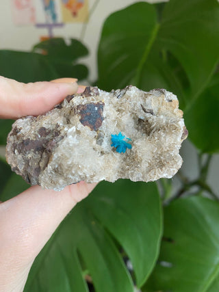Cavansite on Stilbite | Zeolite | Old Stock from Curious Muse Crystals Tagged with blue, cavansite, crystal energy, fine mineral, hide-notify-btn, india, raw, reiki healing, stilbite, zeolite