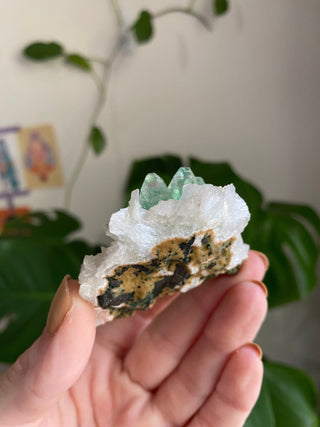 Apophyllite Flower on Stilbite | Zeolite | Old Stock from Curious Muse Crystals Tagged with apophyllite flower, clear, Crystal healing, fine mineral, genuine crystal, green, green apophyllite, high grade mineral, mineral collection, natural mineral, old stock mineral, raw mineral, reiki healing, zeolite cluster