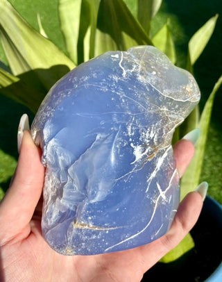 Blue Chalcedony Hand Carved Horse Geode from Curious Muse Crystals Tagged with animal carving, animal guide, blue, blue chalcedony, blue stone geode, calming crystal, chalcedony, Crystal carving, farmhouse decor, feng shui, hand carved geode, home decor stone, horse decor, horse head crystal, rearing horse statue, stone bird, western home decor