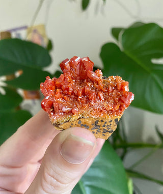 Vanadinite Cluster - Creativity & Energy from Curious Muse Crystals Tagged with bright red crystal, creativity key, genuine crystal, hide-notify-btn, Moroccan Vanadinite, red, red crystal, red hexagon crystal, red Vanadinite, sacral chakra, shadow work, vanadinite cluster