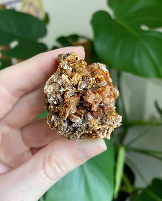 Vanadinite Cluster - Creativity & Energy from Curious Muse Crystals Tagged with bright red crystal, creativity key, genuine crystal, hide-notify-btn, Moroccan Vanadinite, red, red crystal, red hexagon crystal, red Vanadinite, sacral chakra, shadow work, vanadinite cluster