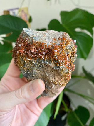 Vanadinite Cluster - Creativity & Energy from Curious Muse Crystals Tagged with bright red crystal, creativity key, genuine crystal, hide-notify-btn, Moroccan Vanadinite, red, red crystal, red hexagon crystal, red Vanadinite, sacral chakra, shadow work, vanadinite cluster