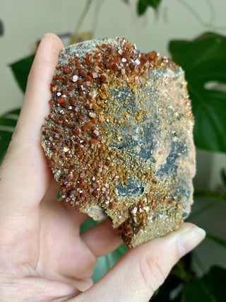 Vanadinite Cluster - Creativity & Energy from Curious Muse Crystals Tagged with bright red crystal, creativity key, genuine crystal, hide-notify-btn, Moroccan Vanadinite, red, red crystal, red hexagon crystal, red Vanadinite, sacral chakra, shadow work, vanadinite cluster